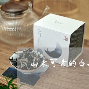 山东可靠的白茶茶叶招商/2023102531594