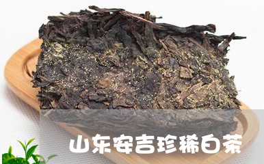 山东安吉珍稀白茶/2023061903938