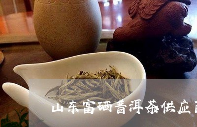 山东富硒普洱茶供应商/2023093004037