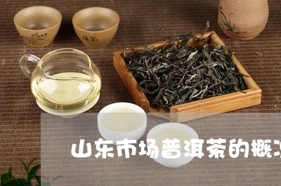 山东市场普洱茶的概况/2023073091725