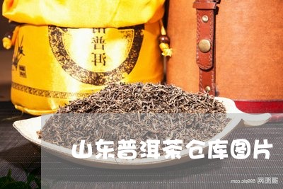 山东普洱茶仓库图片/2023121682608