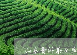 山东普洱茶仓库管理制度/2023050475472