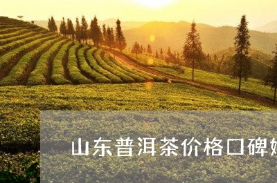 山东普洱茶价格口碑好/2023062987062