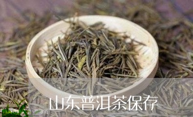 山东普洱茶保存/2023121653717