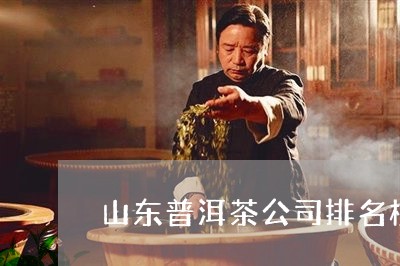 山东普洱茶公司排名榜前十名/2023052813604