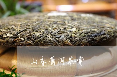 山东普洱茶膏/2023042706282