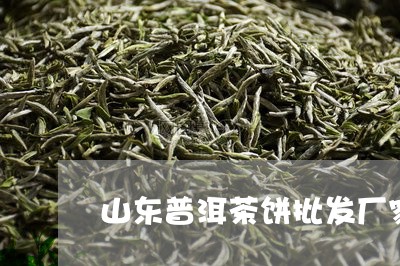 山东普洱茶饼批发厂家/2023080114929