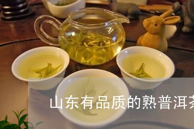 山东有品质的熟普洱茶/2023062950573