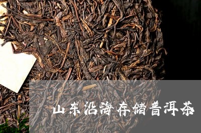 山东沿海存储普洱茶/2023042925169