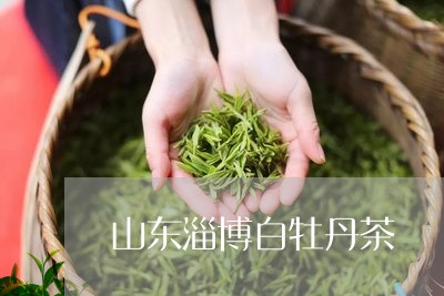 山东淄博白牡丹茶/2023061908489