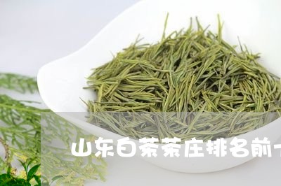 山东白茶茶庄排名前十名/2023102558291