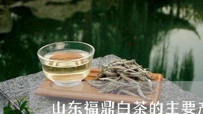 山东福鼎白茶的主要产地/2023092137060