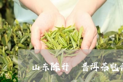 山东陈升號普洱茶电话/2023100573705