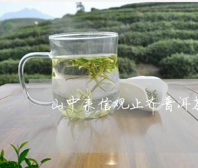 山中来信观止齐普洱茶/2023080356147