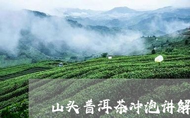 山头普洱茶冲泡讲解图片/2023102504827