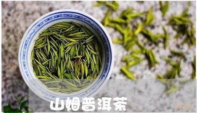 山姆普洱茶/2023112668214