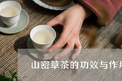 山密草茶的功效与作用禁忌/2023051139725