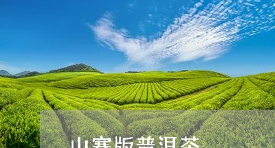 山寨版普洱茶/2023042802217