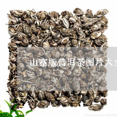 山寨版普洱茶图片大全/2023100857292