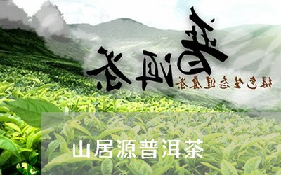 山居源普洱茶/2023042997568