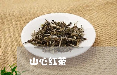 山心红茶/2023121903819