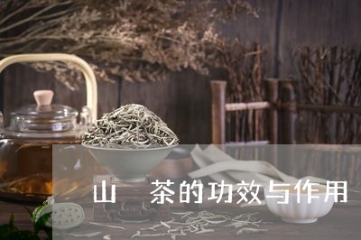 山枙茶的功效与作用/2023042318482