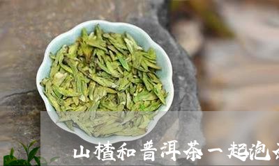 山楂和普洱茶一起泡茶/2023061591795