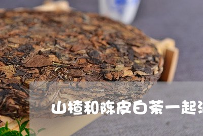 山楂和陈皮白茶一起泡/2023093086158