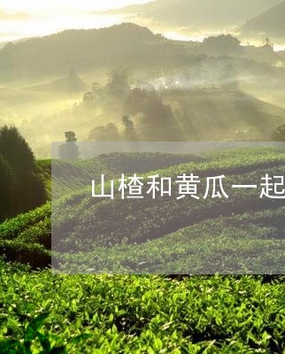 山楂和黄瓜一起泡茶能减肥吗/2023052609361