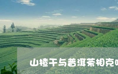 山楂干与普洱茶相克吗/2023110598370