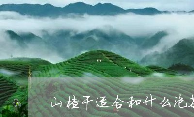 山楂干适合和什么泡茶/2023092045137