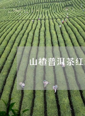 山楂普洱茶红糖能喝吗/2023112426470