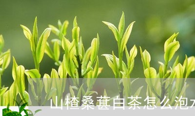 山楂桑葚白茶怎么泡水/2023093026262