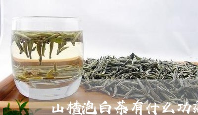 山楂泡白茶有什么功效/2023093099370