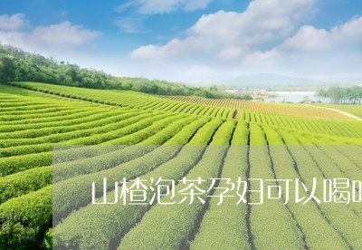 山楂泡茶孕妇可以喝吗/2023071568283