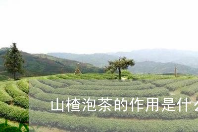 山楂泡茶的作用是什么/2023060811817