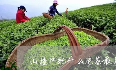 山楂片配什么泡茶最好/2023092039806