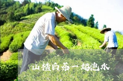 山楂白茶一起泡水/2023062061594