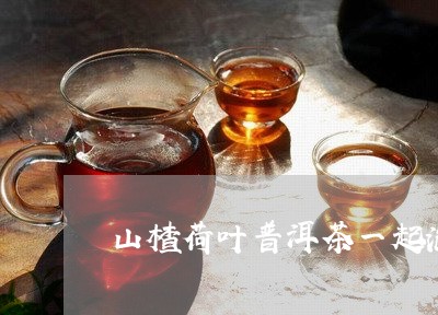 山楂荷叶普洱茶一起泡/2023061504269