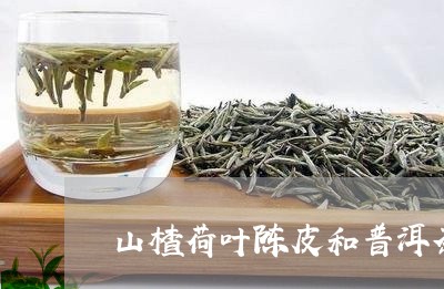 山楂荷叶陈皮和普洱茶/2023062361483