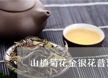 山楂菊花金银花普洱茶/2023093013937