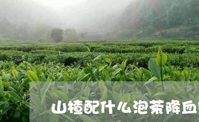 山楂配什么泡茶降血脂/2023071557279