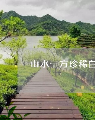 山水一方珍稀白茶怎么样/2023102592848