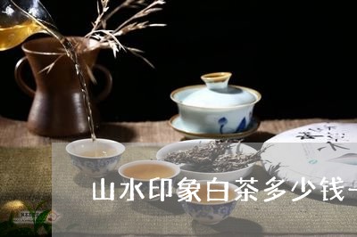 山水印象白茶多少钱一盒/2023082615138