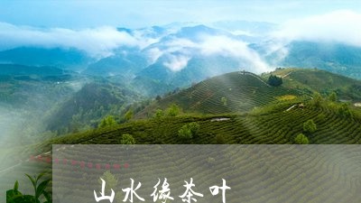 山水缘茶叶/2023041735089