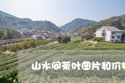 山水间茶叶图片和价格/2023061075161