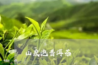 山泉泡普洱茶/2023042718551