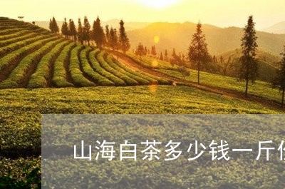 山海白茶多少钱一斤价格/2023082500584