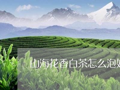 山海花香白茶怎么泡好喝/2023102540503