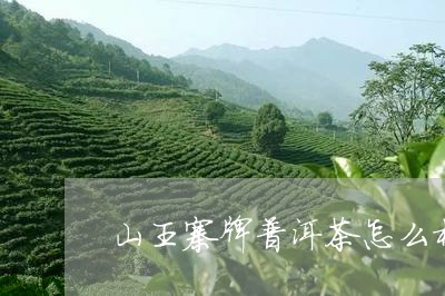 山王寨牌普洱茶怎么样/2023092660502